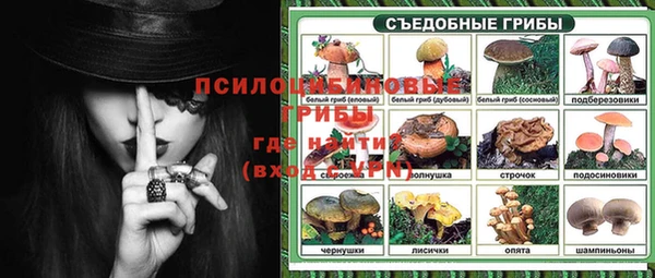 мет Карпинск